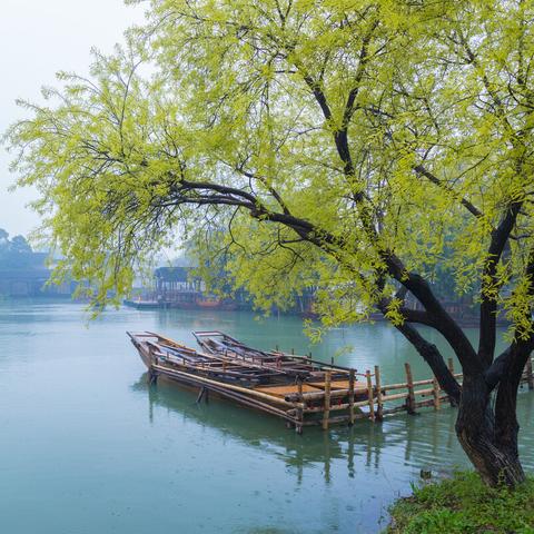 (神不在屋顶下,却在每一个人的心中闪耀着光芒什么意思)神不在屋顶下，却在每一个人的心中闪耀着光芒