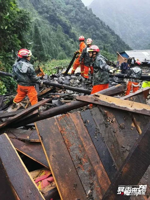 (洪水中如何救人)全面攻略：如何在洪水救援游戏中有效拯救生命