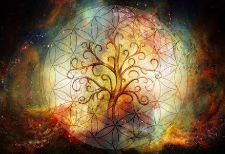神秘自然之力：探究悠久之树元素之心的奥秘及其在生态环保中的关键作用