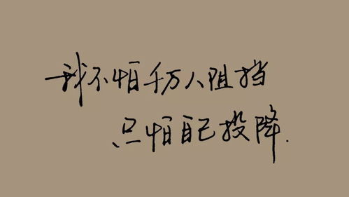 我的快意人生：丁公子如何在逆境中逆风翻盘，追寻理想与自由的精彩旅程